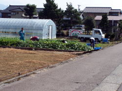 �q���\���_��i���Ȃ��j